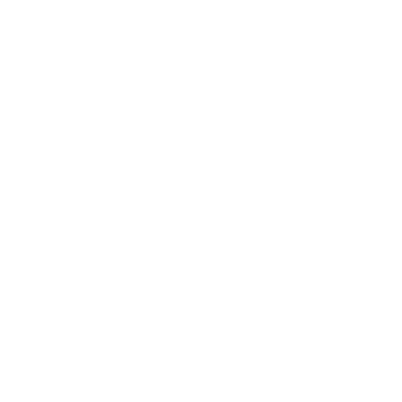 Copilink logo